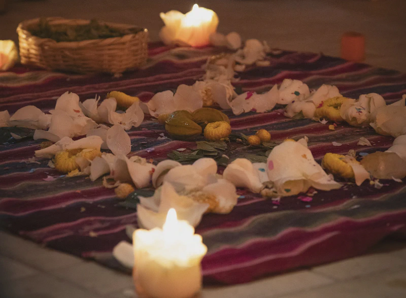 Lenguas madre, lenguas bosque: rituales de escucha por la diversidad lingüística