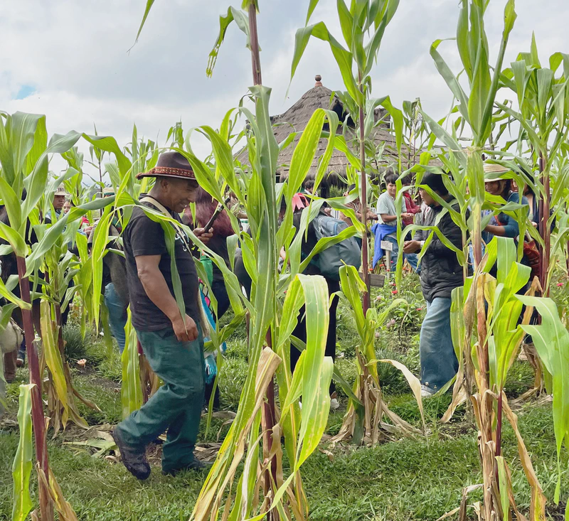 Pedagogías espirales