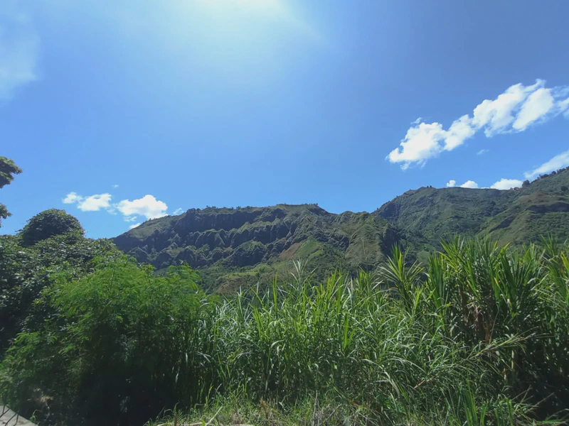 Recorrido nasa, campesino y misak