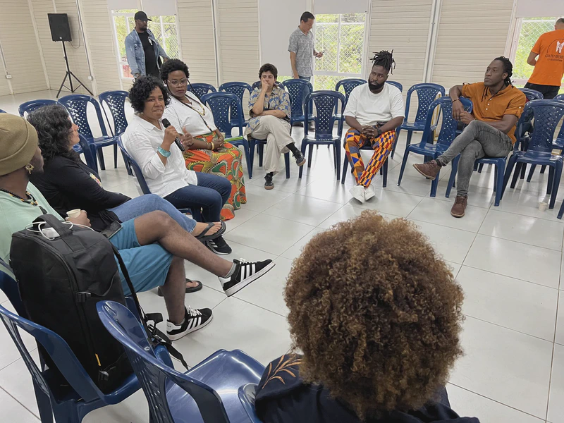 Visualidades y sonoridades afro, indígenas y campesinas