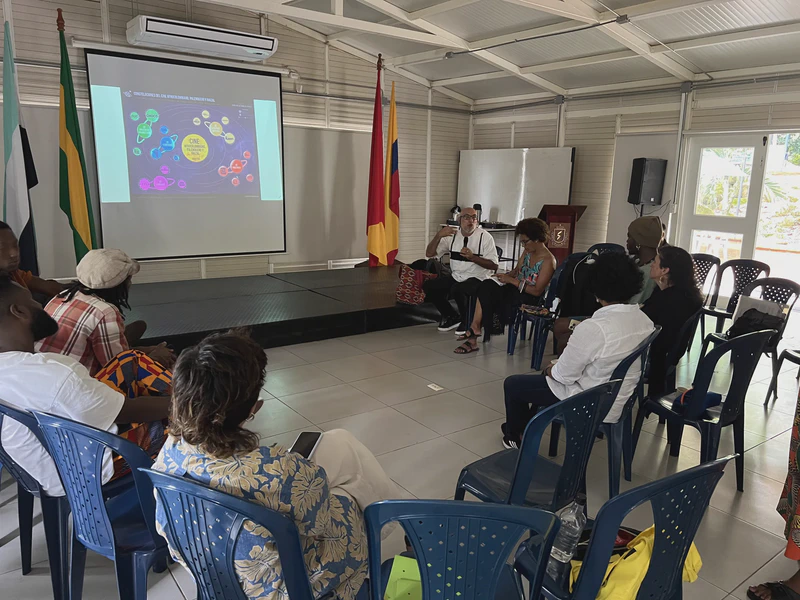 Visualidades y sonoridades afro, indígenas y campesinas