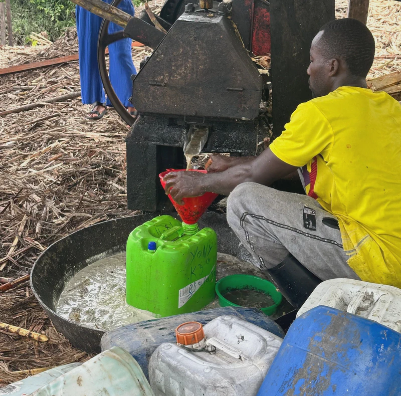 Bebidas ancestrales y viche