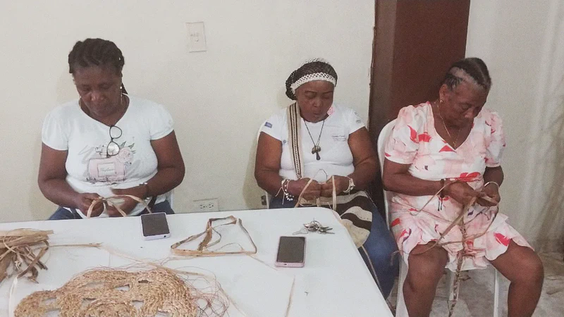 Saberes entretejidos