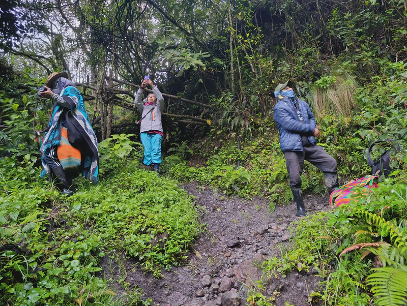 Residencia Yanacroma II