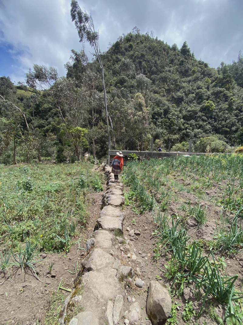 Residencia PIYAPMƟSIK - Casa del Sueño