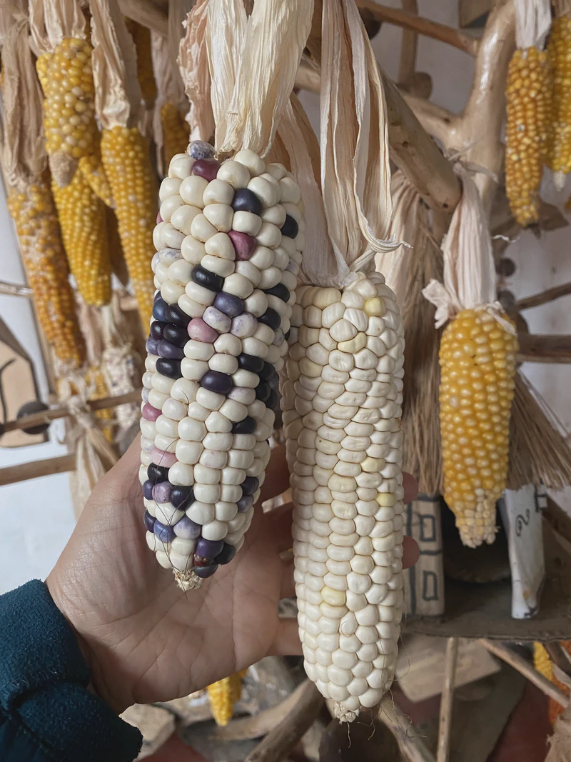 Residencia PIYAPMƟSIK - Casa del Sueño